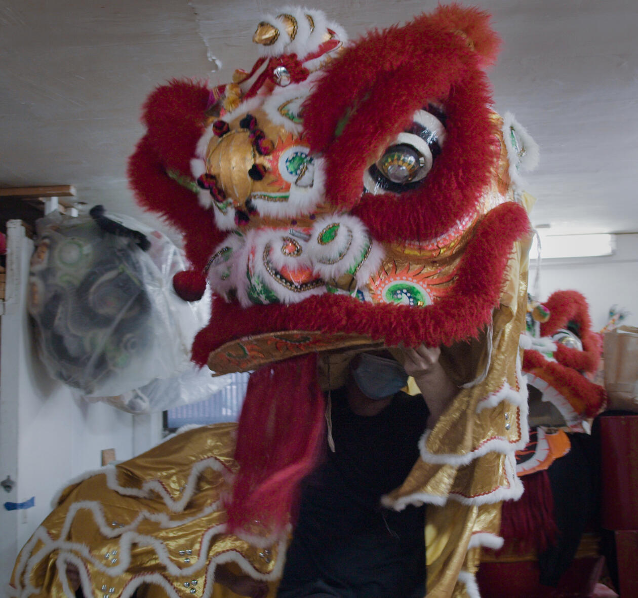 Year of the Ox still img